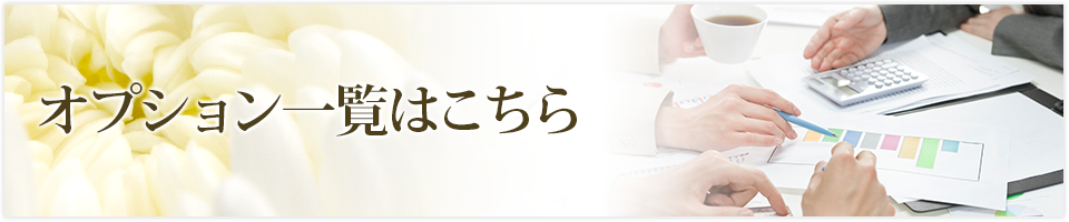 オプション一覧はこちら